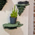 Djamor Fungus Wall Shelf mounted in a living room with decorative items. Muted green color.