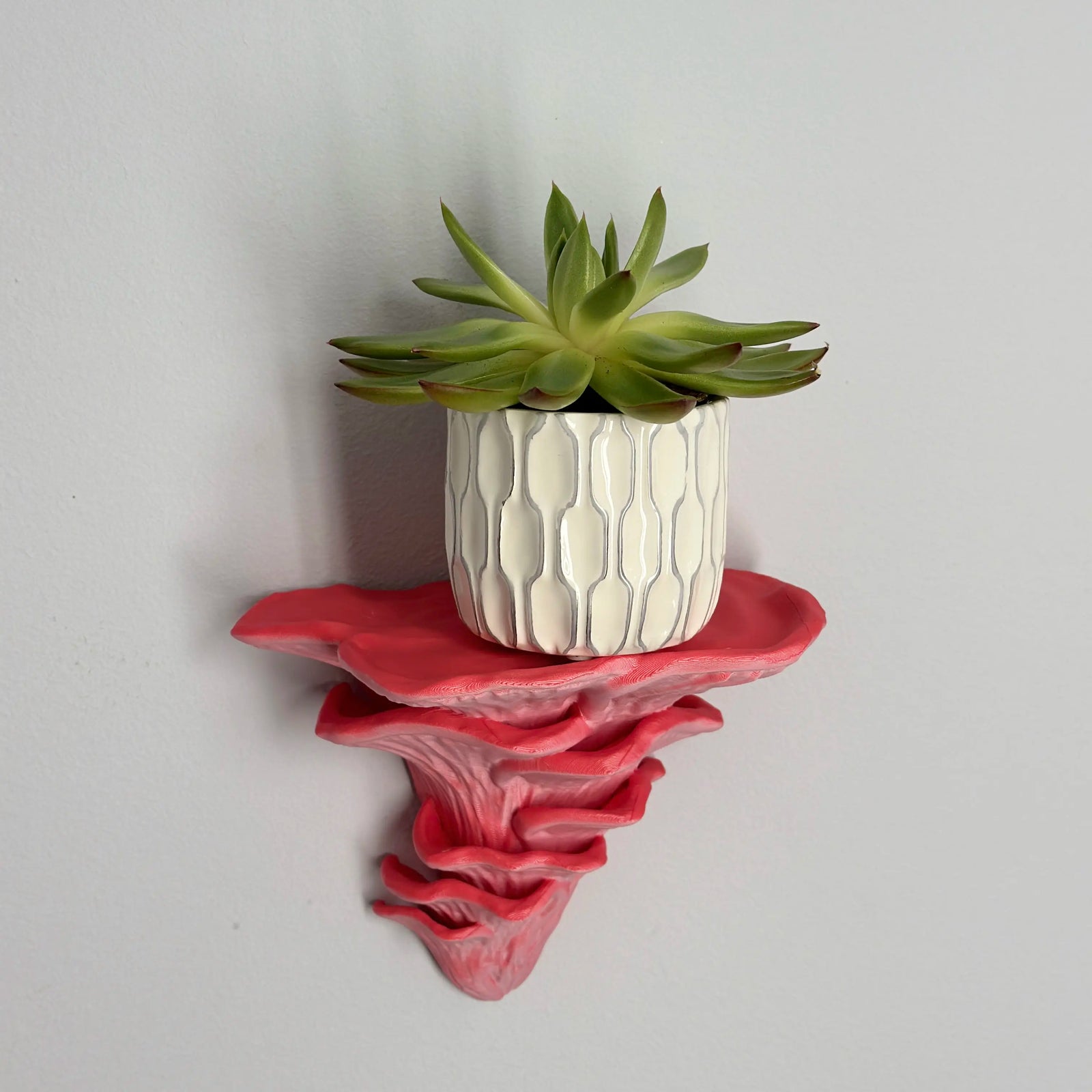 Djamor Fungus Wall Shelf mounted in a living room with decorative items. Flamingo color.