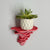  Djamor Fungus Wall Shelf mounted in a living room with decorative items. Flamingo color.