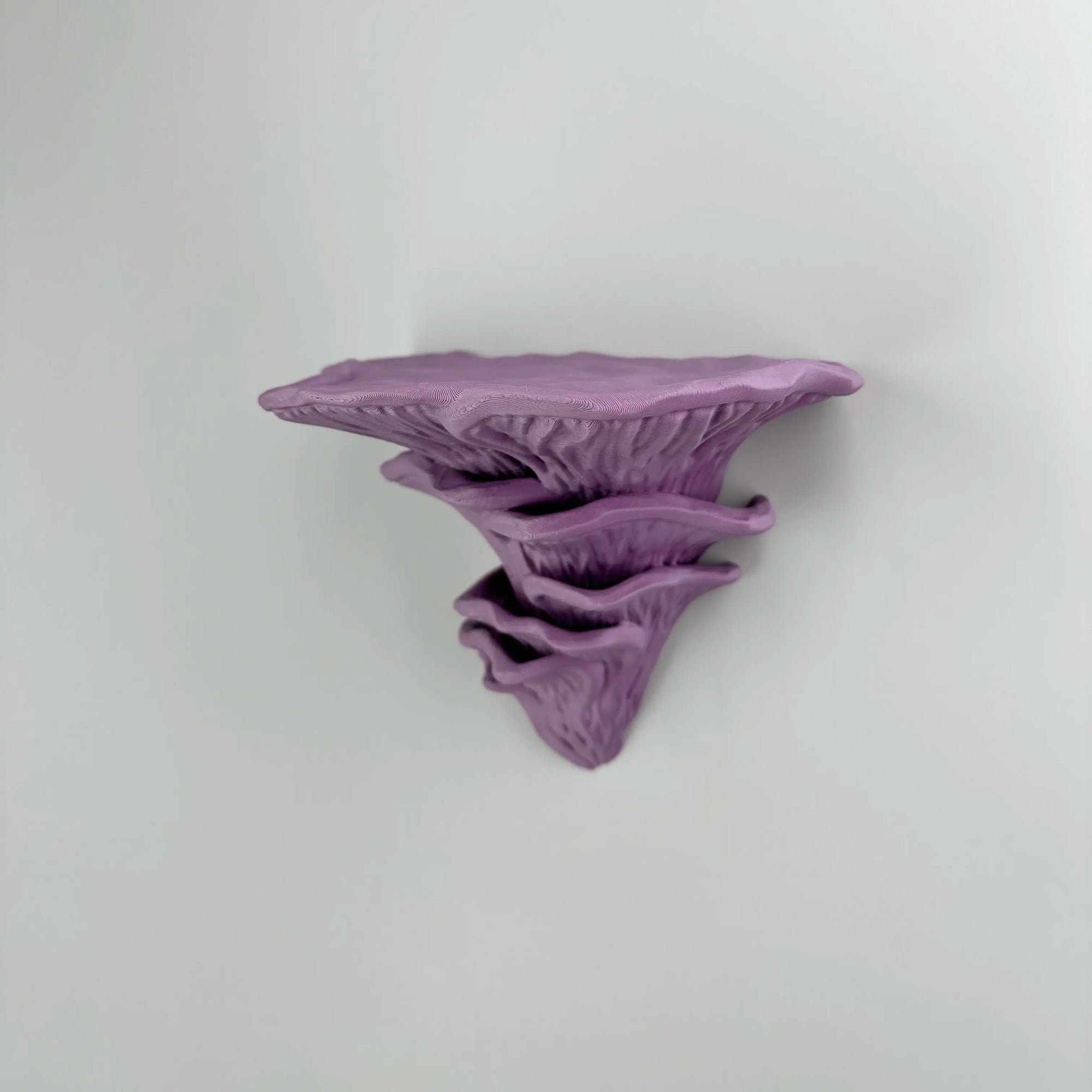  Djamor Fungus Wall Shelf mounted in a living room with decorative items. Muted Purple color.