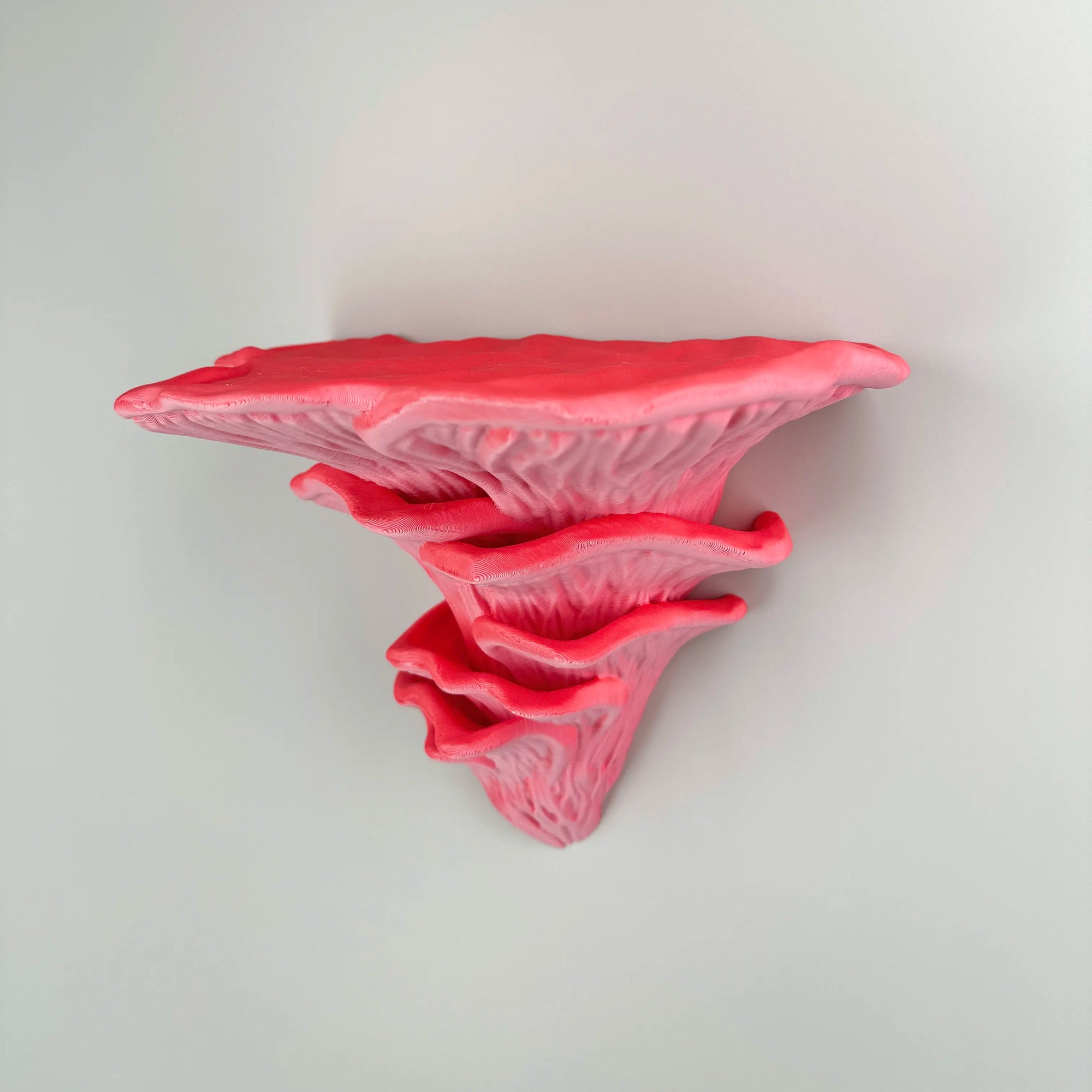 Djamor Fungus Wall Shelf mounted in a living room with decorative items. Flamingo color.