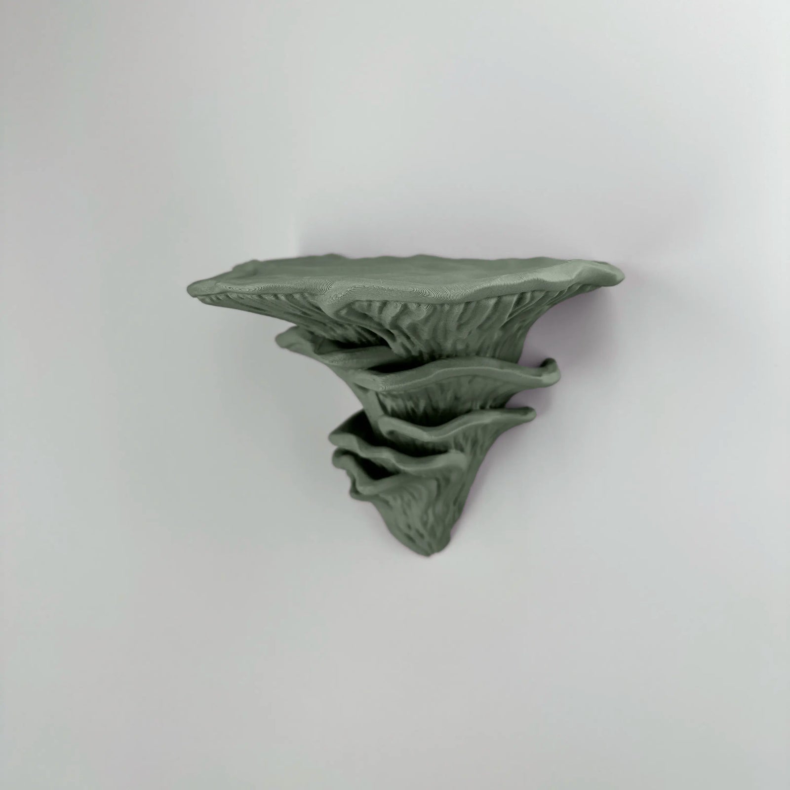 Djamor Fungus Mushroom Wall Shelf in muted green color