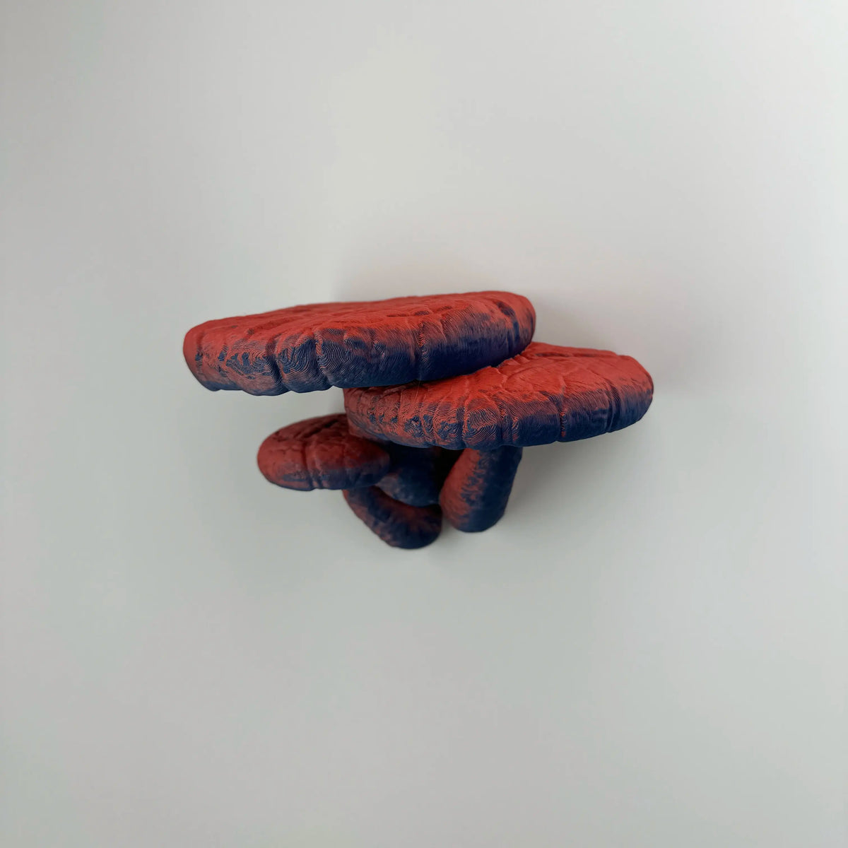 Close view of wall mounted floating shelf - Edodes Fungus in Mixed Berries (Red-Dark Blue) color.