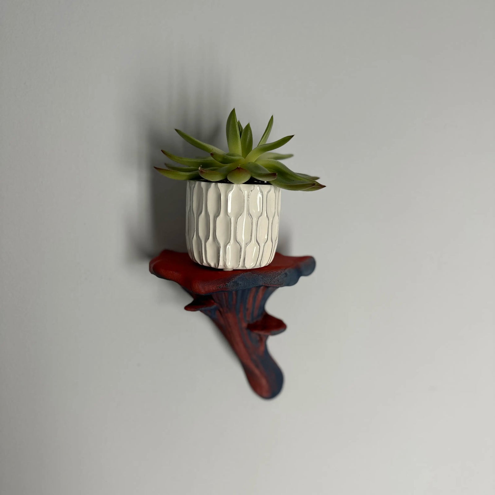Oyster Fungus - Mushroom Wall Shelf