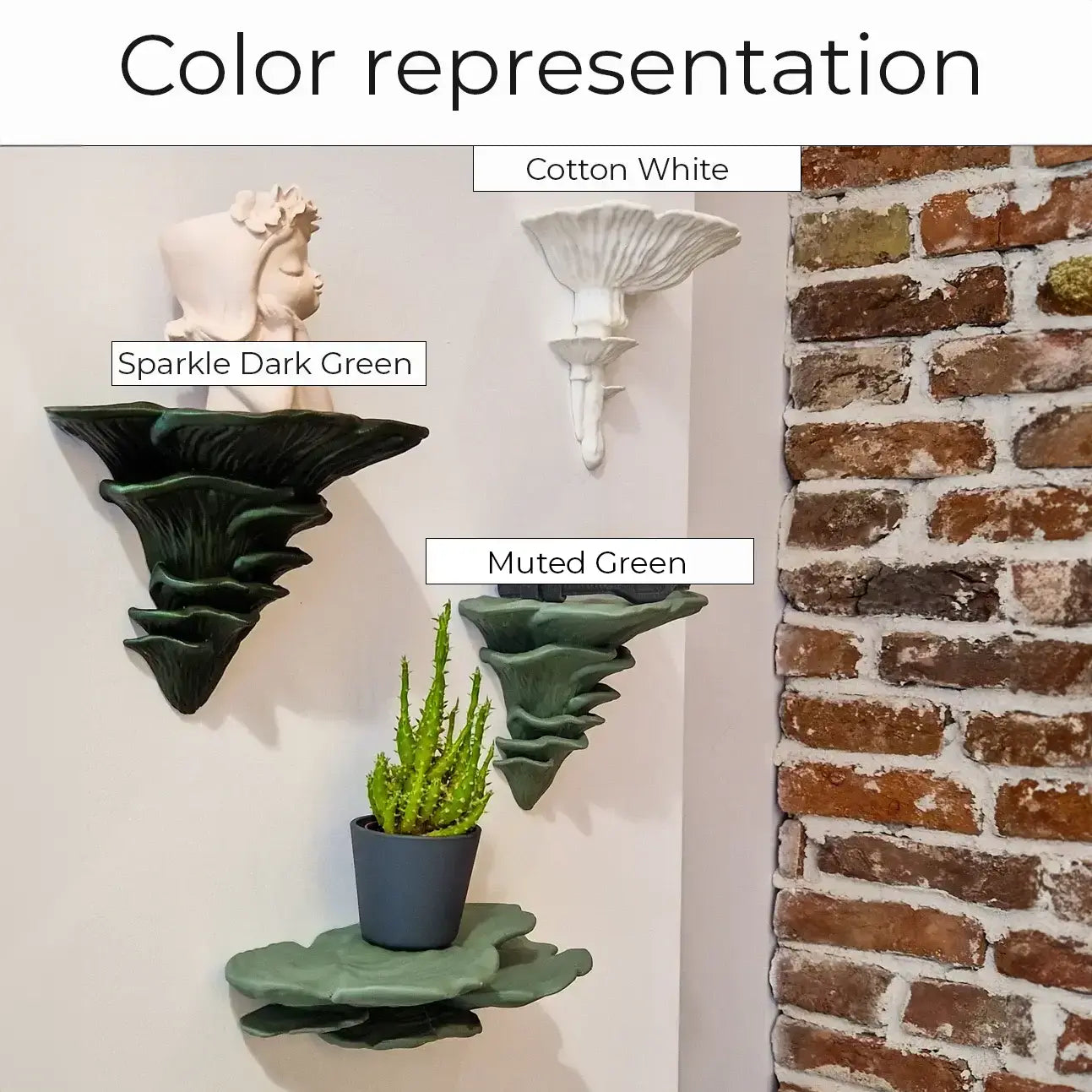 Oyster Fungus - Mushroom Wall Shelf