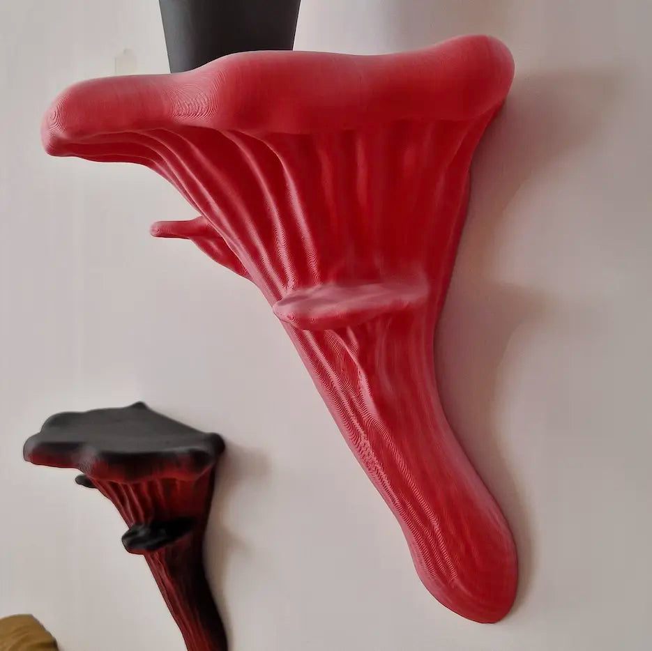Oyster Fungus - Mushroom Wall Shelf