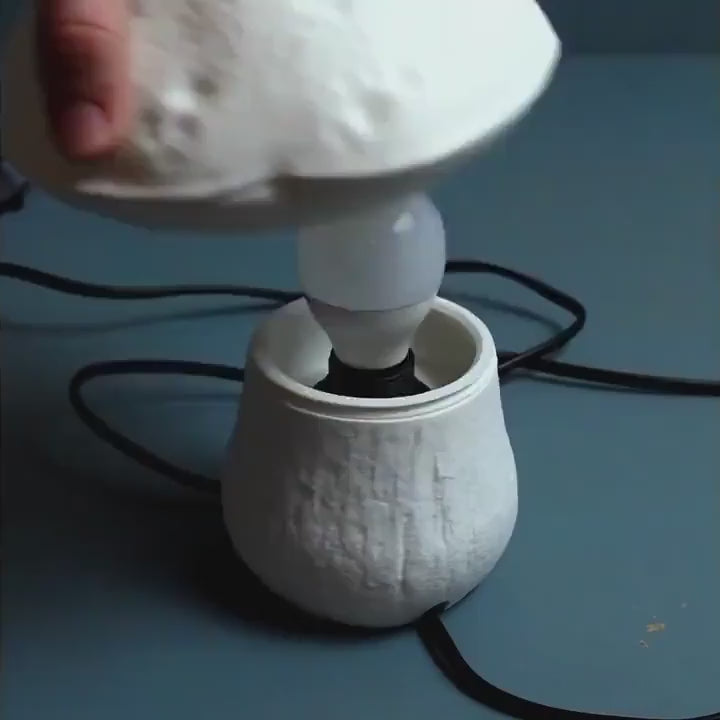Edulis Fungus Table Lamp - Small Organic Mushroom Design