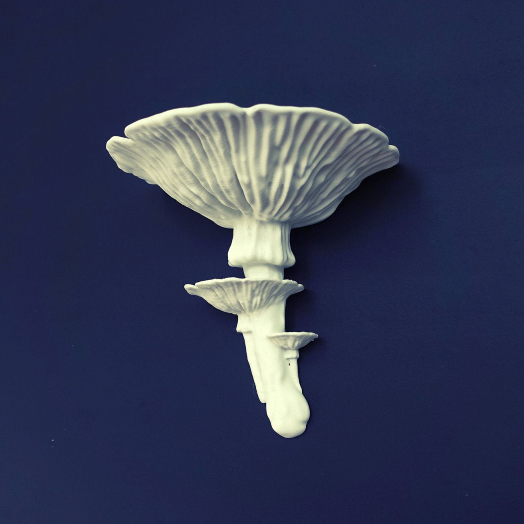 Amanita Fungus Mushroom Wall Shelf showcasing a whimsical and nature-inspired design for home decor.