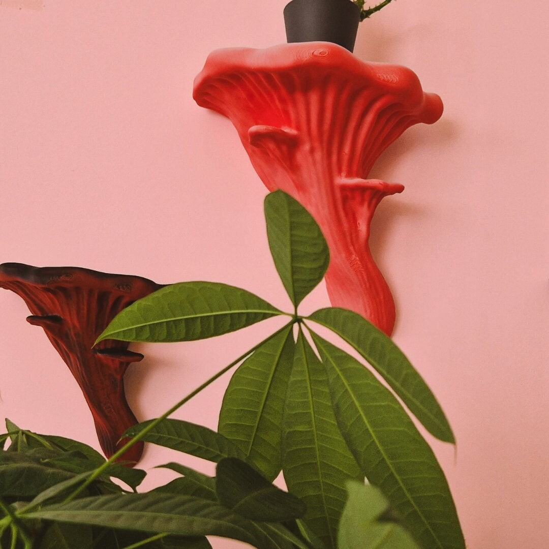 Oyster Fungus - Mushroom Wall Shelf