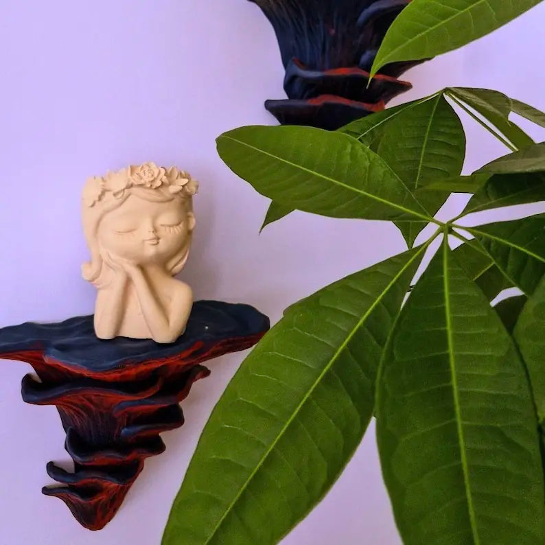 Djamor Fungus Wall Shelf mounted in a living room with decorative items. Mixed berries color.