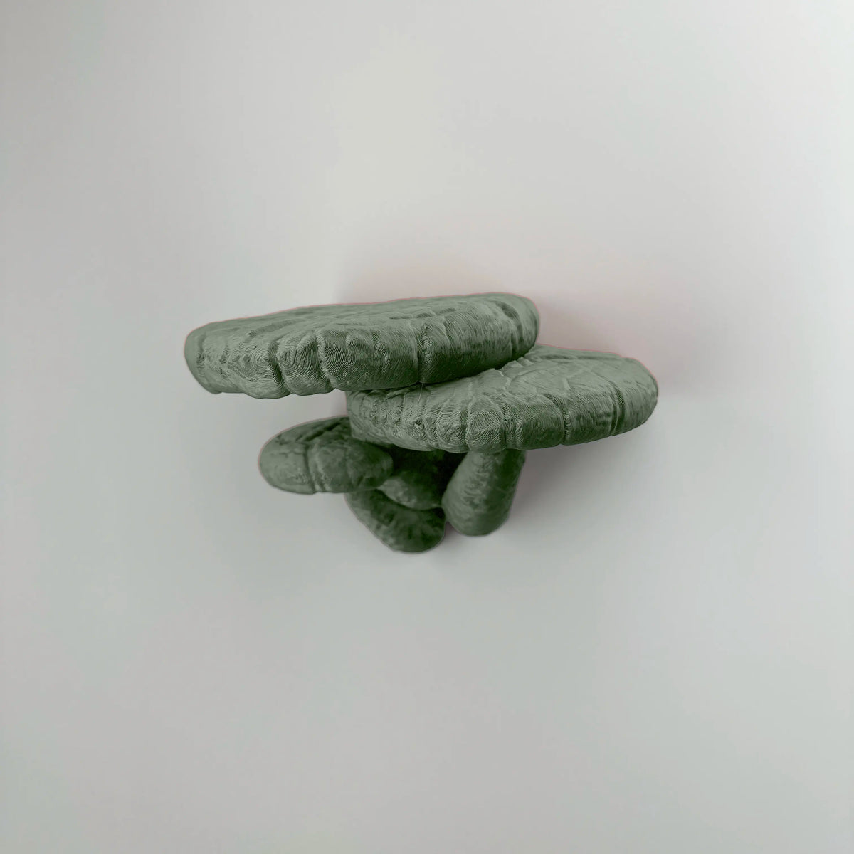  Close view of wall mounted floating shelf - Edodes Fungus in Muted green color.