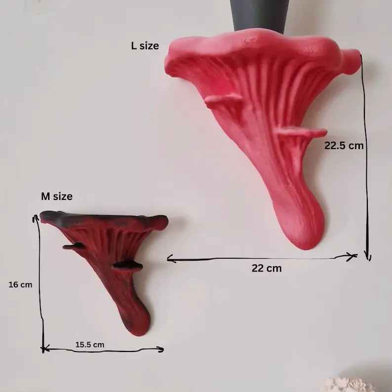 Oyster Fungus - Mushroom Wall Shelf