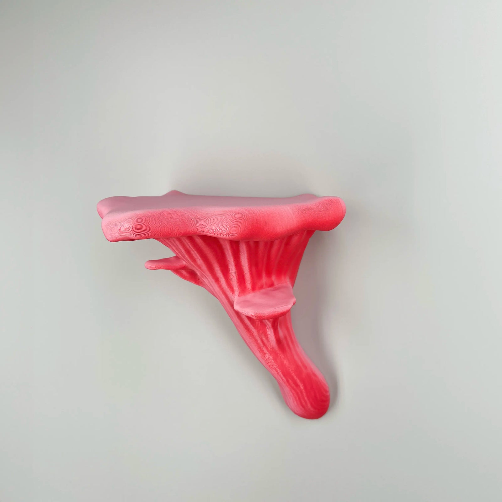 Oyster Fungus - Mushroom Wall Shelf