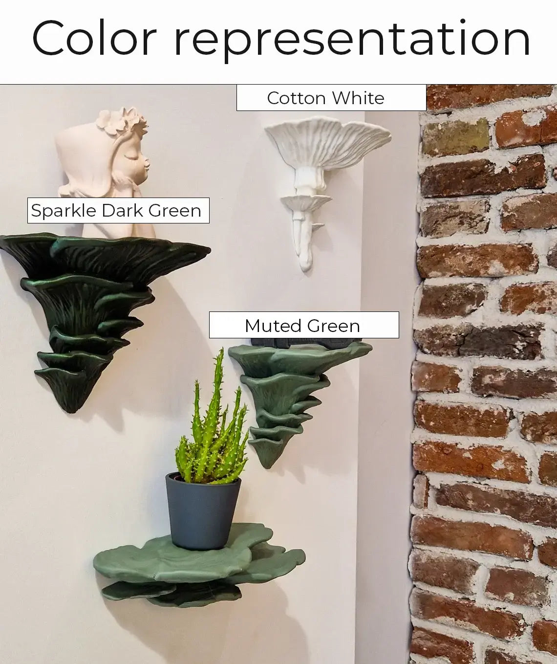 Ostrea Fungus - Wall Mushroom Shelf