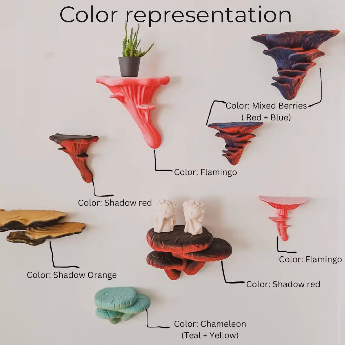 Representation of all colors on the mushroom wall shelves.