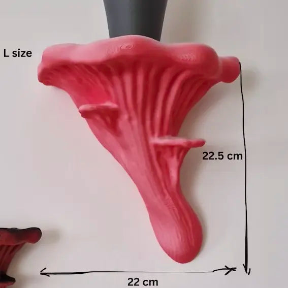 Oyster Fungus - Mushroom Wall Shelf