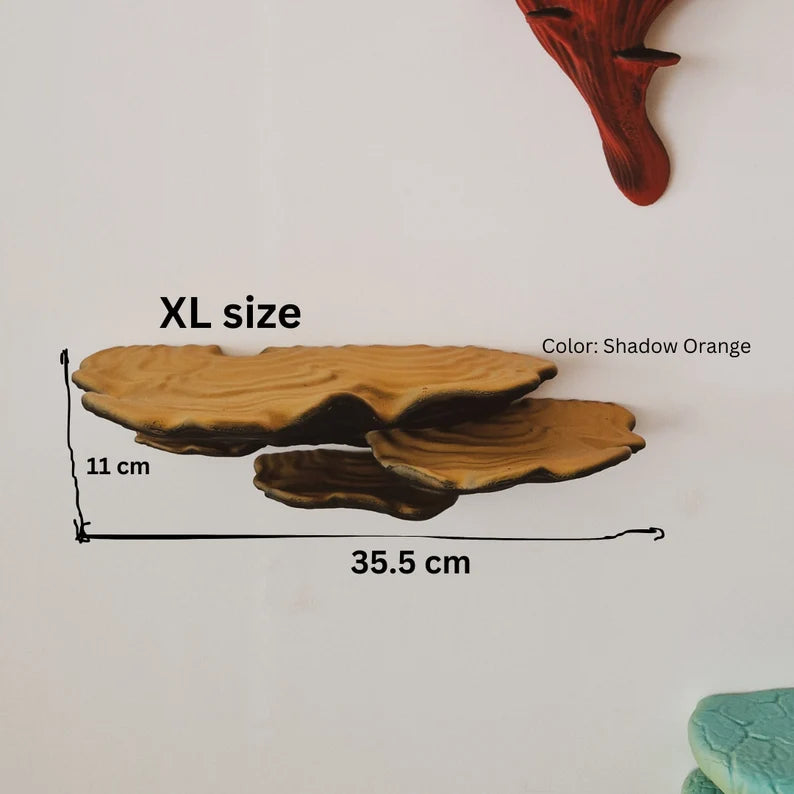 Ostrea Fungus - Wall Mushroom Shelf
