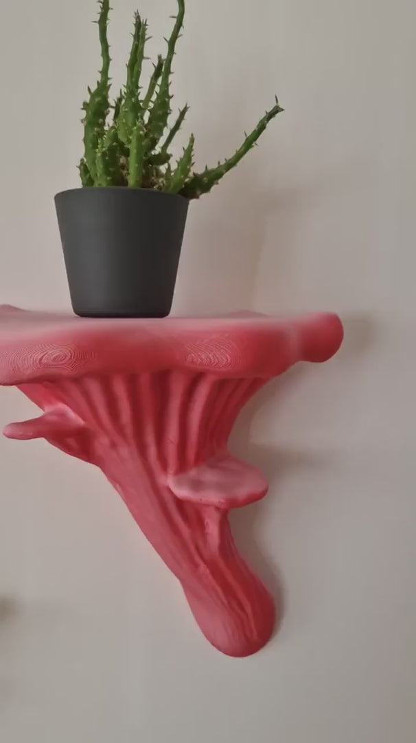 Oyster Fungus - Mushroom Wall Shelf
