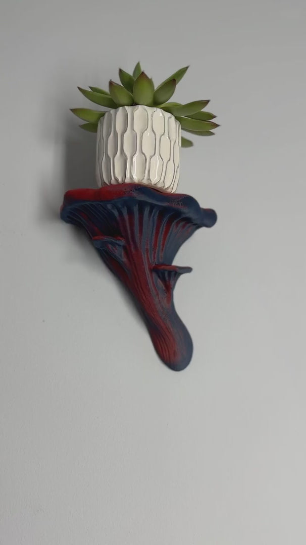 Oyster Fungus - Mushroom Wall Shelf