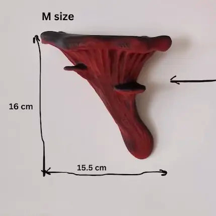 Oyster Fungus - Mushroom Wall Shelf